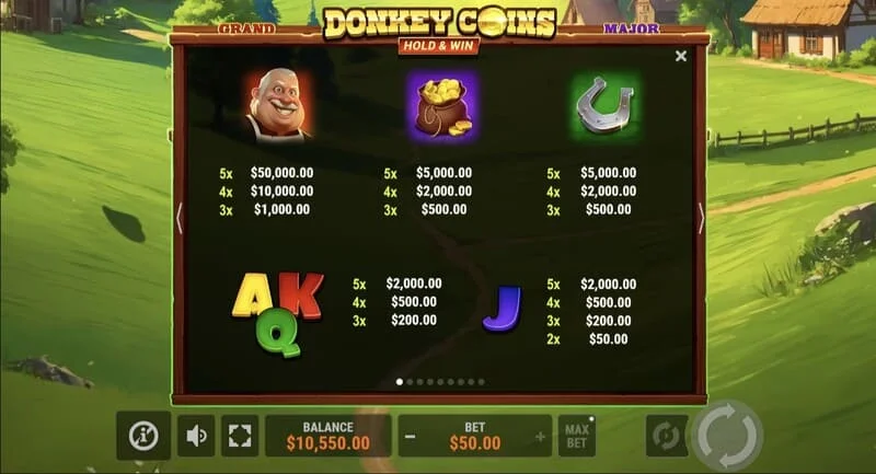 Donkey Coins Hold & Win - ველი წებოვანი Coin ჟეტონებით