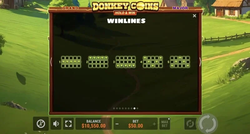 Donkey Coins Hold & Win - დიდი მოგება სპეციალურ რეჟიმში