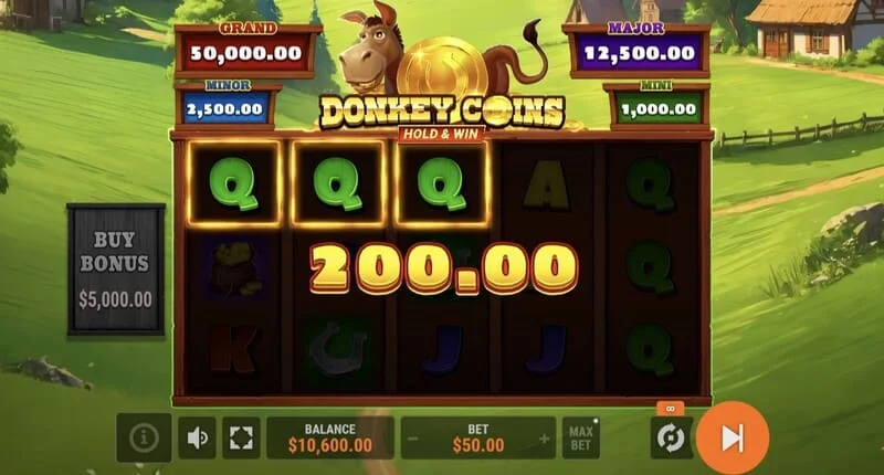 Donkey Coins Hold & Win - Hold & Win რეჟიმის გაშვება